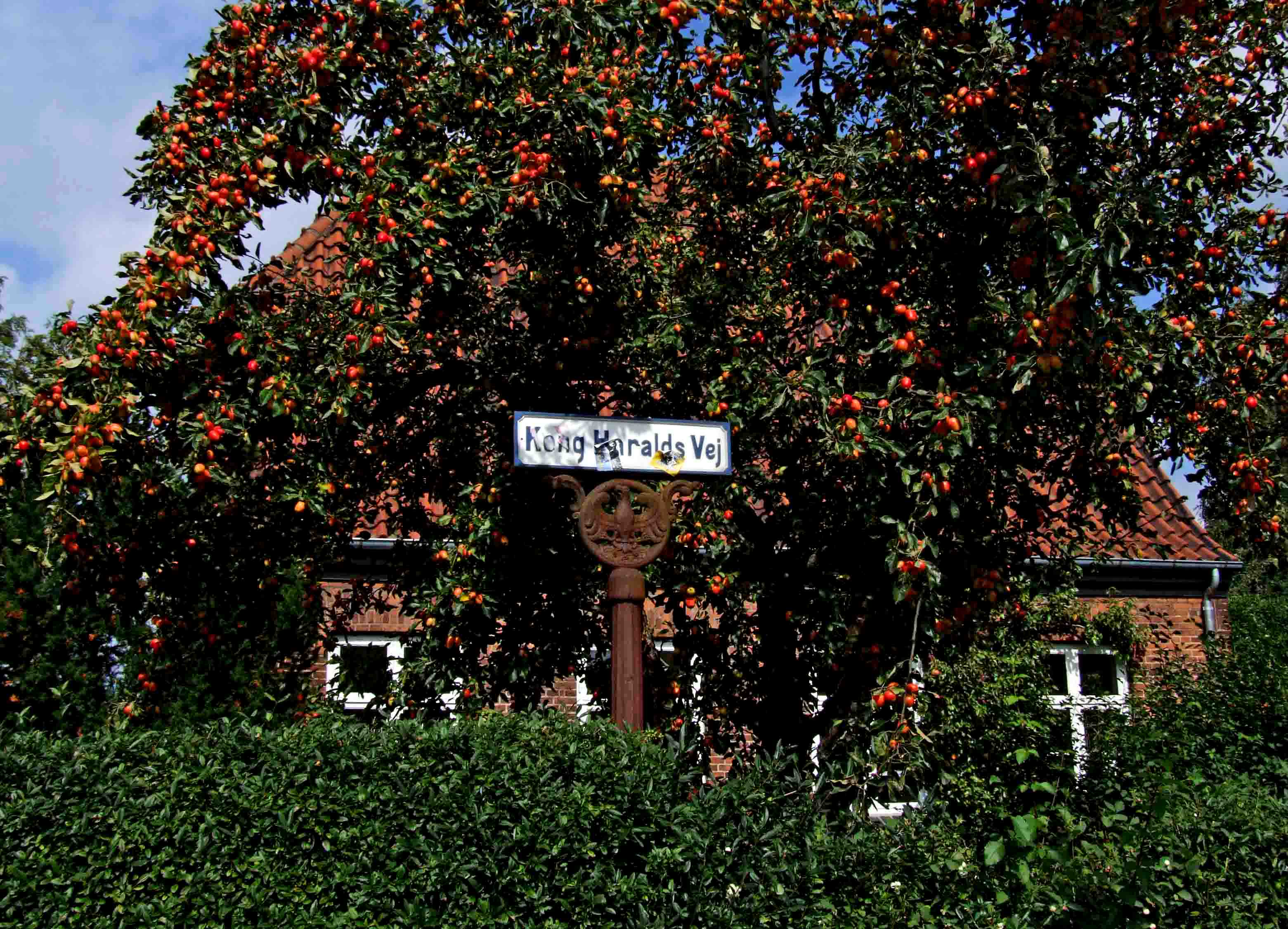 Dansk trädgård