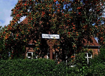 Dansk trädgård Dansk trädgård