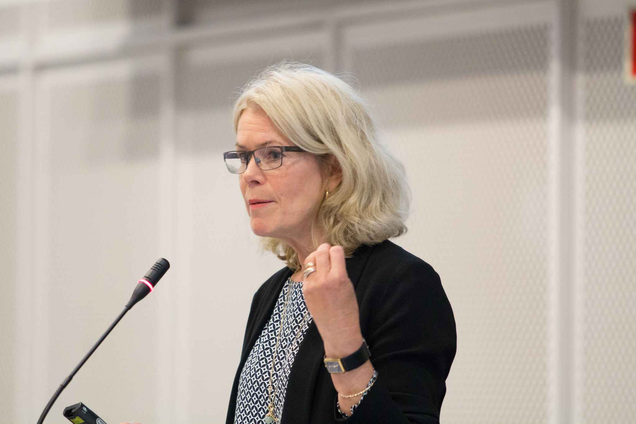 Grete Brochmann om flyktingpolitik: Norden mer samkört nu