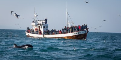 OECD: Island tjänar mer på turismen än fisket OECD: Island tjänar mer på turismen än fisket