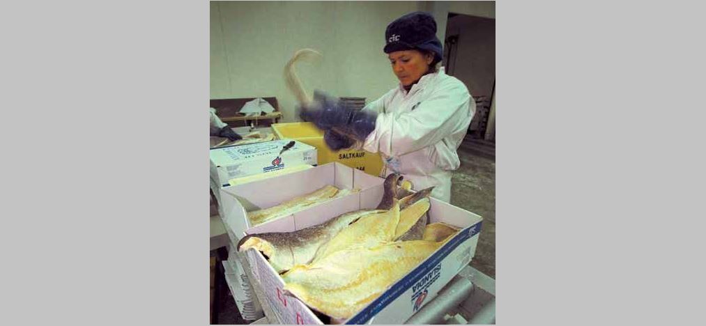 Två steg framåt, ett bakåt – arbetsmiljö i rörelse