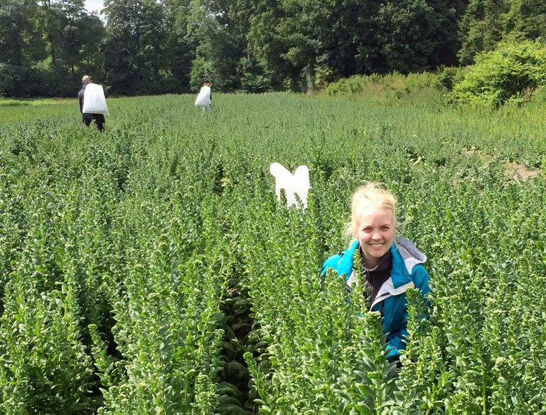 Gerður Gautsdóttir Gerður Gautsdóttir