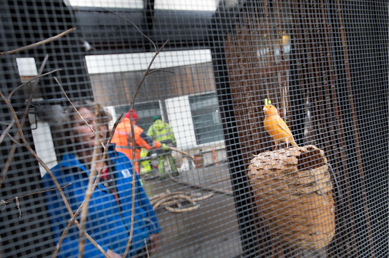 Rummelighed i praksis – hvordan danske kommuner arbejder med inklusion