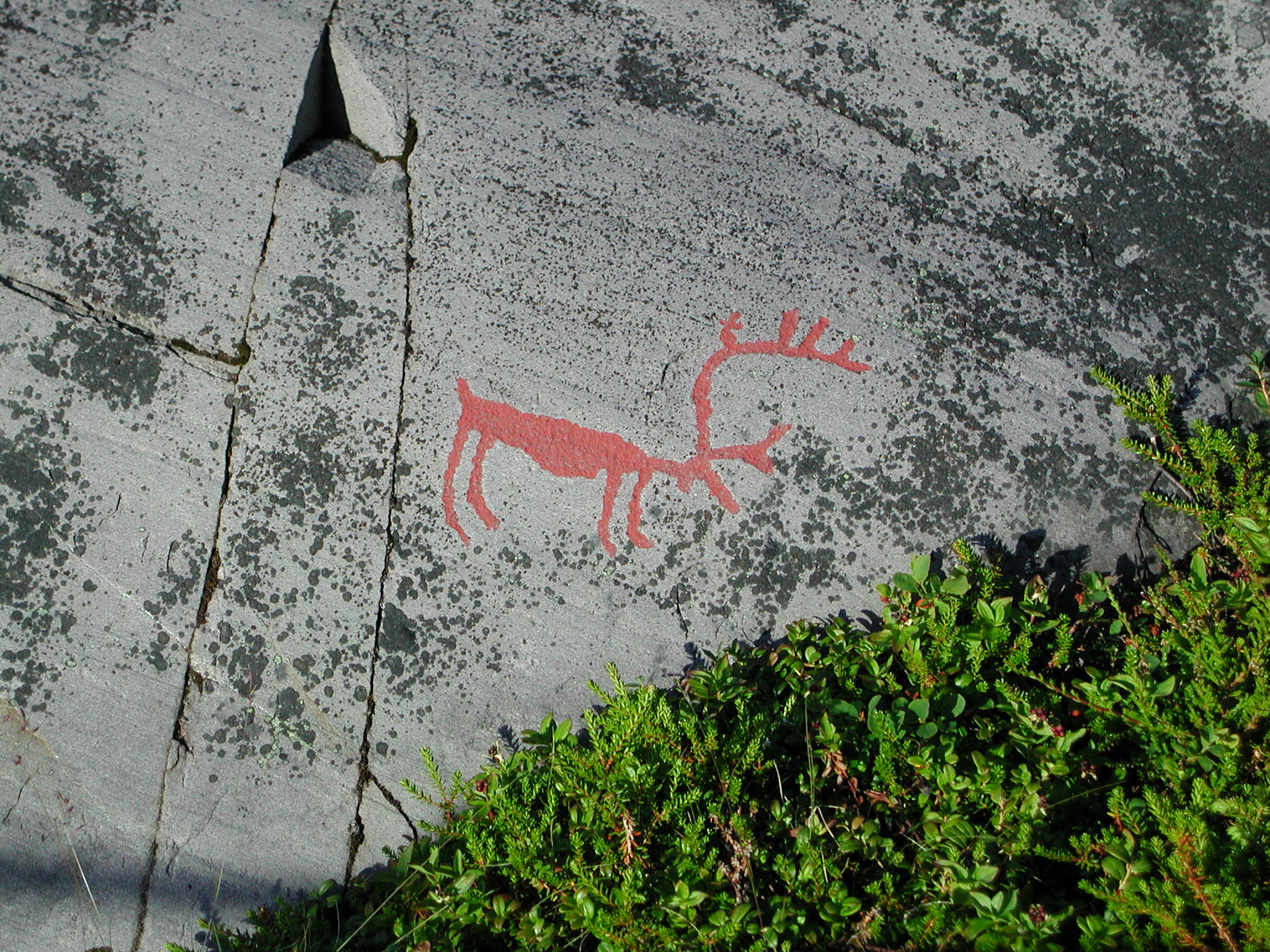 Hällristning ren Foto: Björn Lindahl