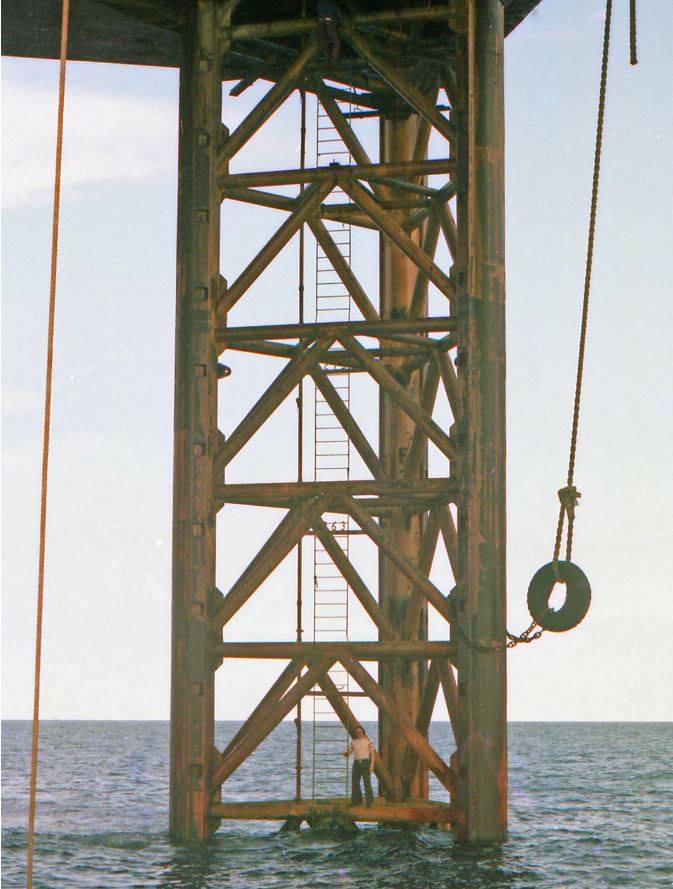 Plattformsben Foto: Hans Claesson