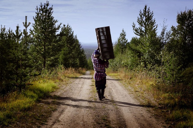 Thailändsk bärplockare Foto: Cata Portin