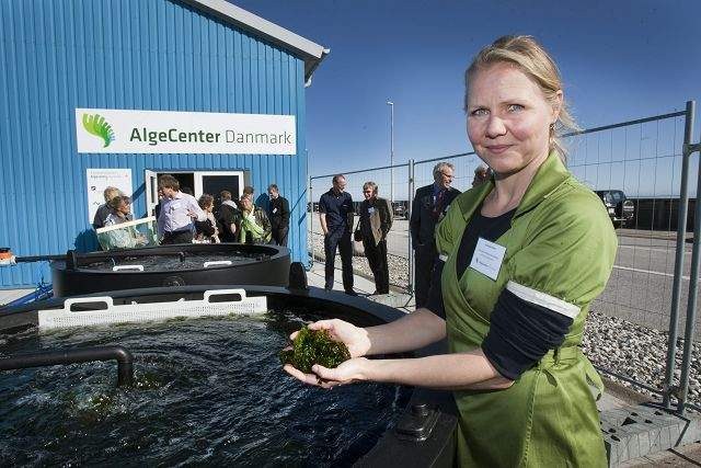 Anette Bruhn Foto: Aarhus universitet
