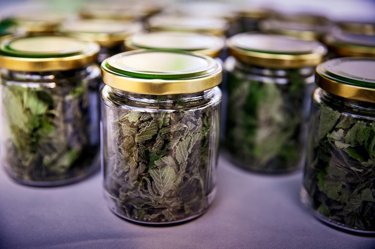 Burkar med löv Foto: Cata Portin