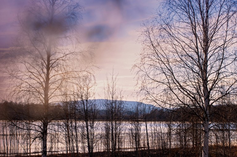 Norrländsk natur Foto: Cata Portin