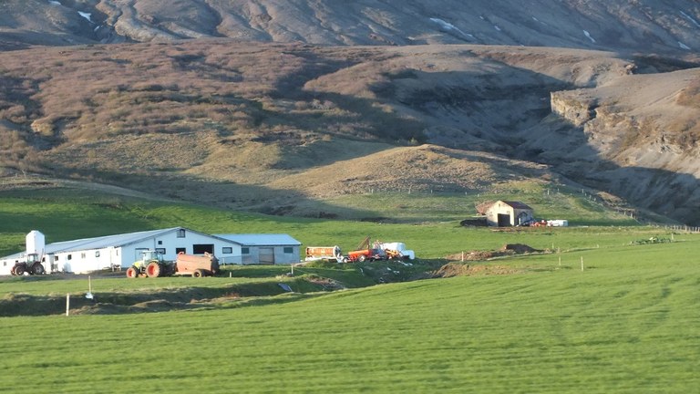 Jordbruk på Island Foto: Björn Lindahl