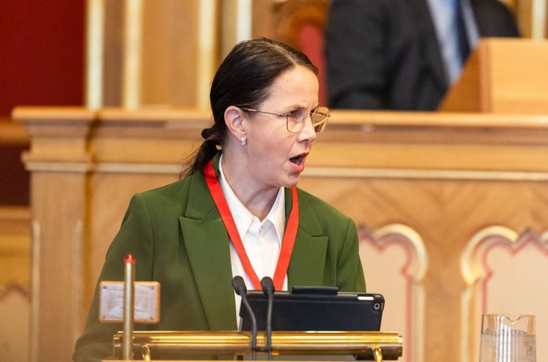 Veronika Honkasalo Foto: Magnus Frødeberg/Norden.org