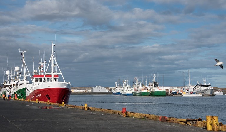 Havnen i Grindavik Foto: Wikipedia/Einar Páll Svavarsson