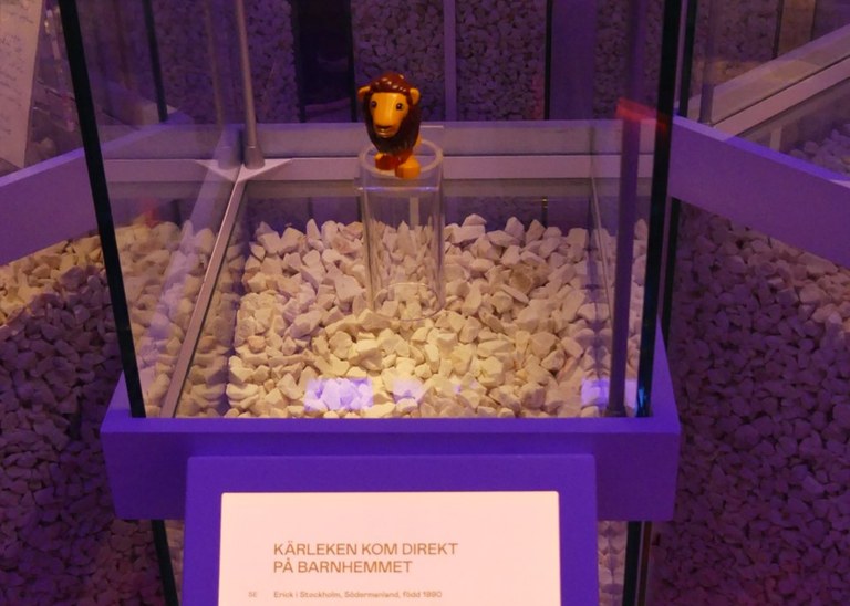 Lejon Foto: Björn Lindahl