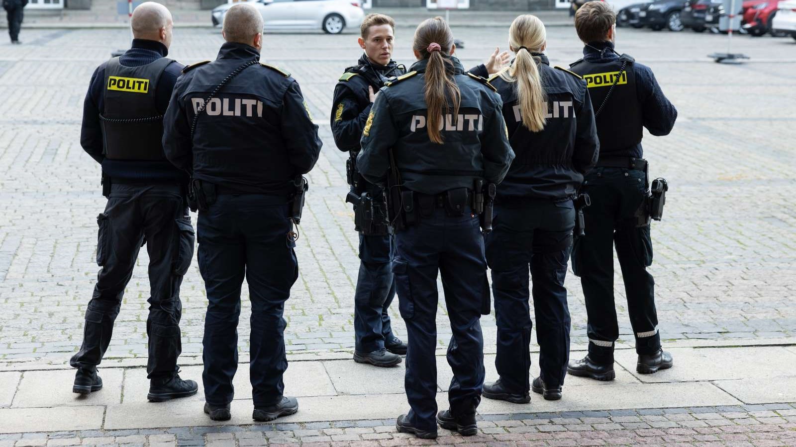 Politi_illustrasjon Politi_illustrasjonMagnus Fröderberg, norden.org