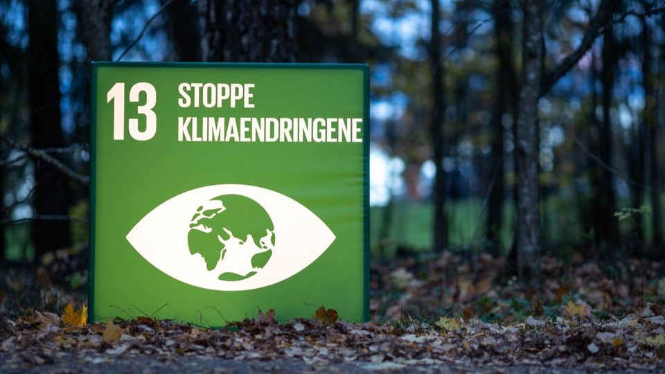 Bærekraftsmål 13 handler om å stoppe klimaendringene. Foto: FN-sambandet/Eivind Oskarson