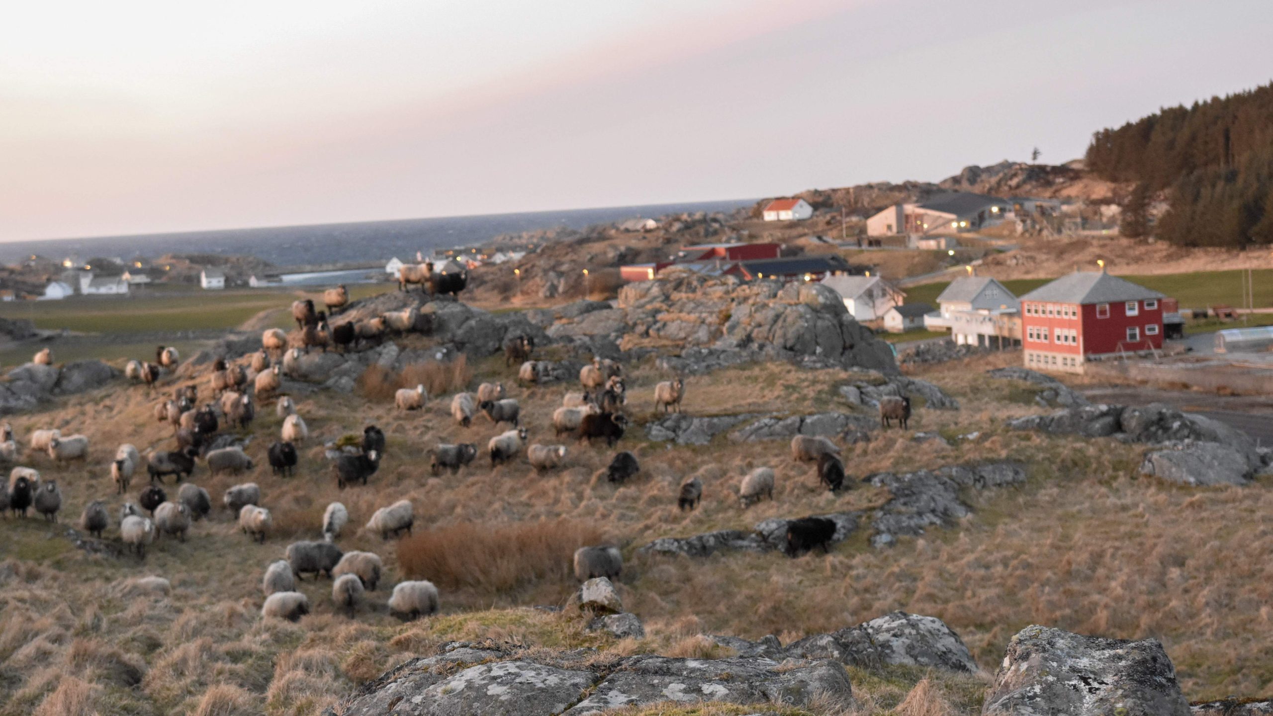 Utsira_02, foto: Line Scheistrøen