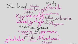 Kanske ett gränshinder? Falska vänner i sängen