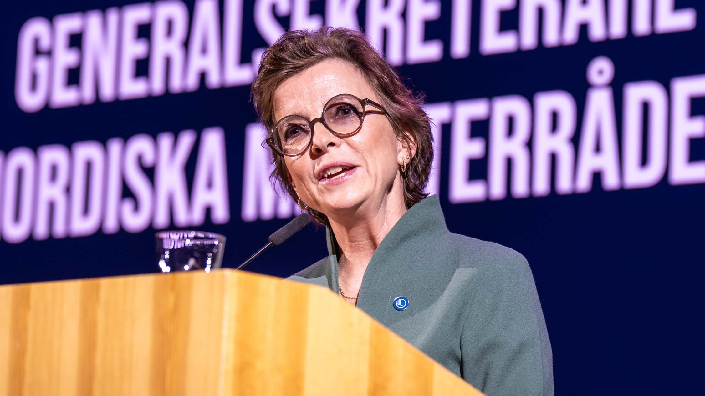 Karen Ellemann_språkdeklarasjon Karen Ellemann_språkdeklarasjon