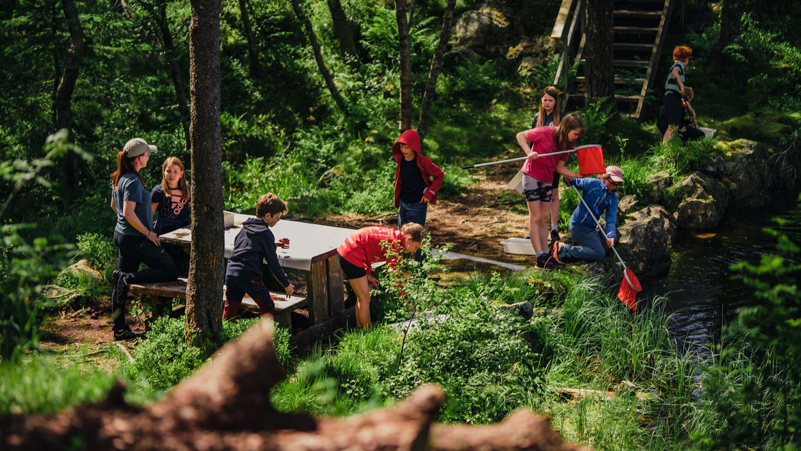 Fløyen_naturskole for barn foto: Fløyen